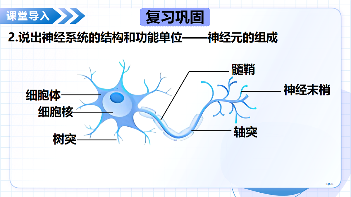 17565880第6页
