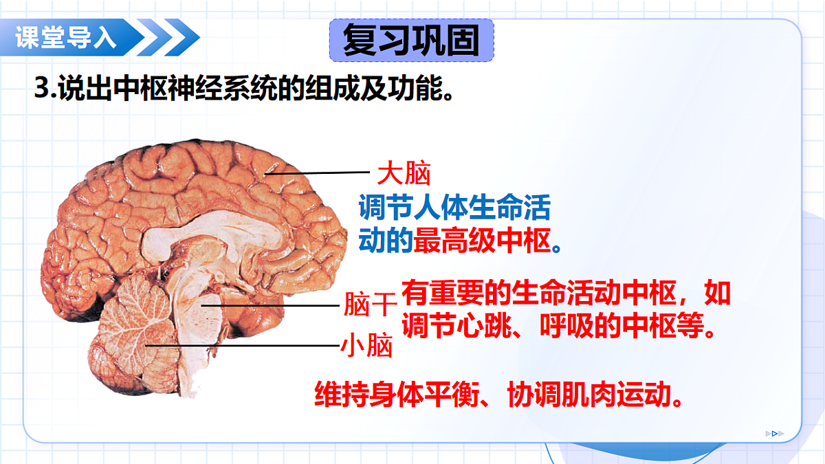 17565880第7页