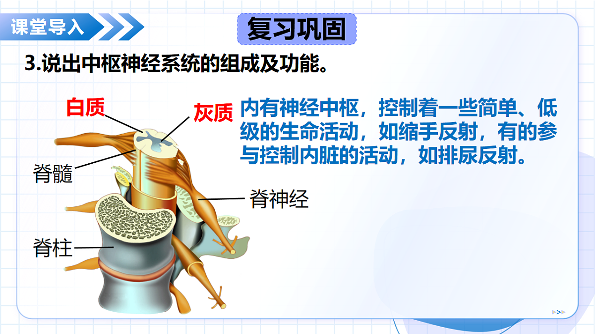 17565880第8页