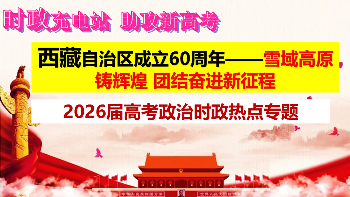 17565893第5页