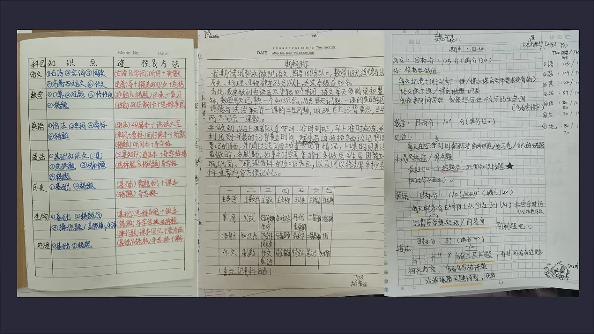 17566897第3页