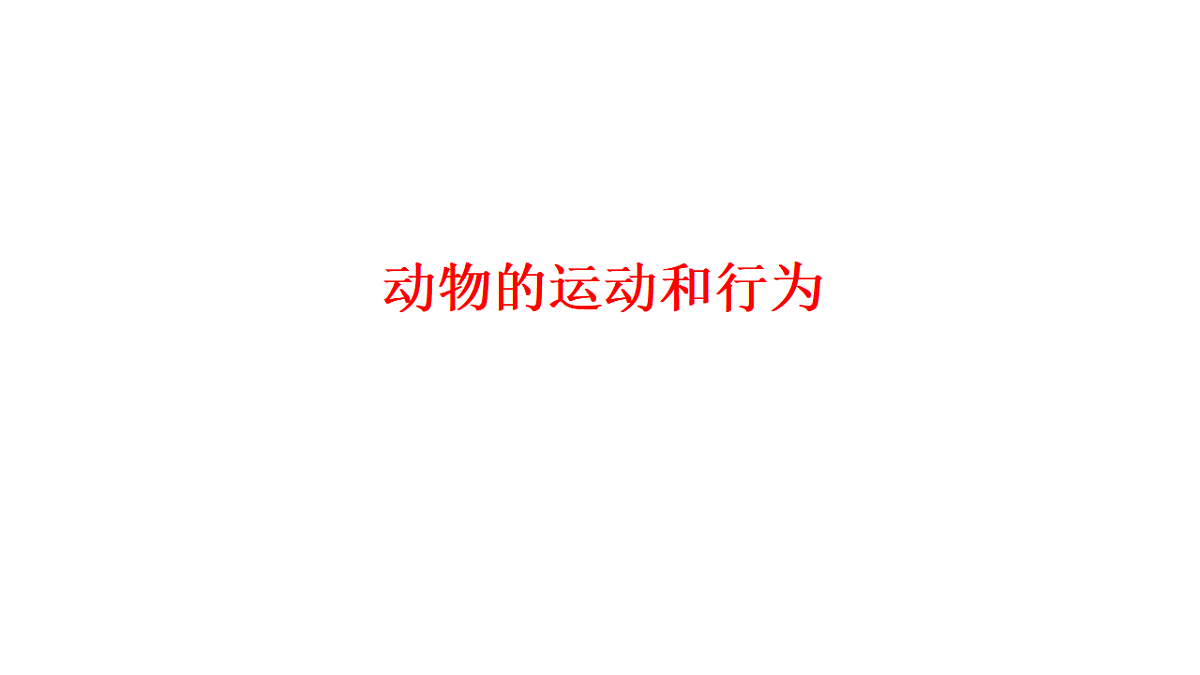 17571263第1页