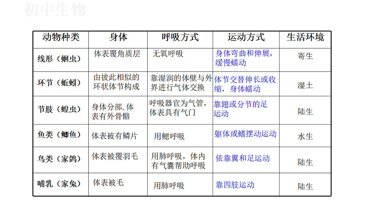 17571263第5页