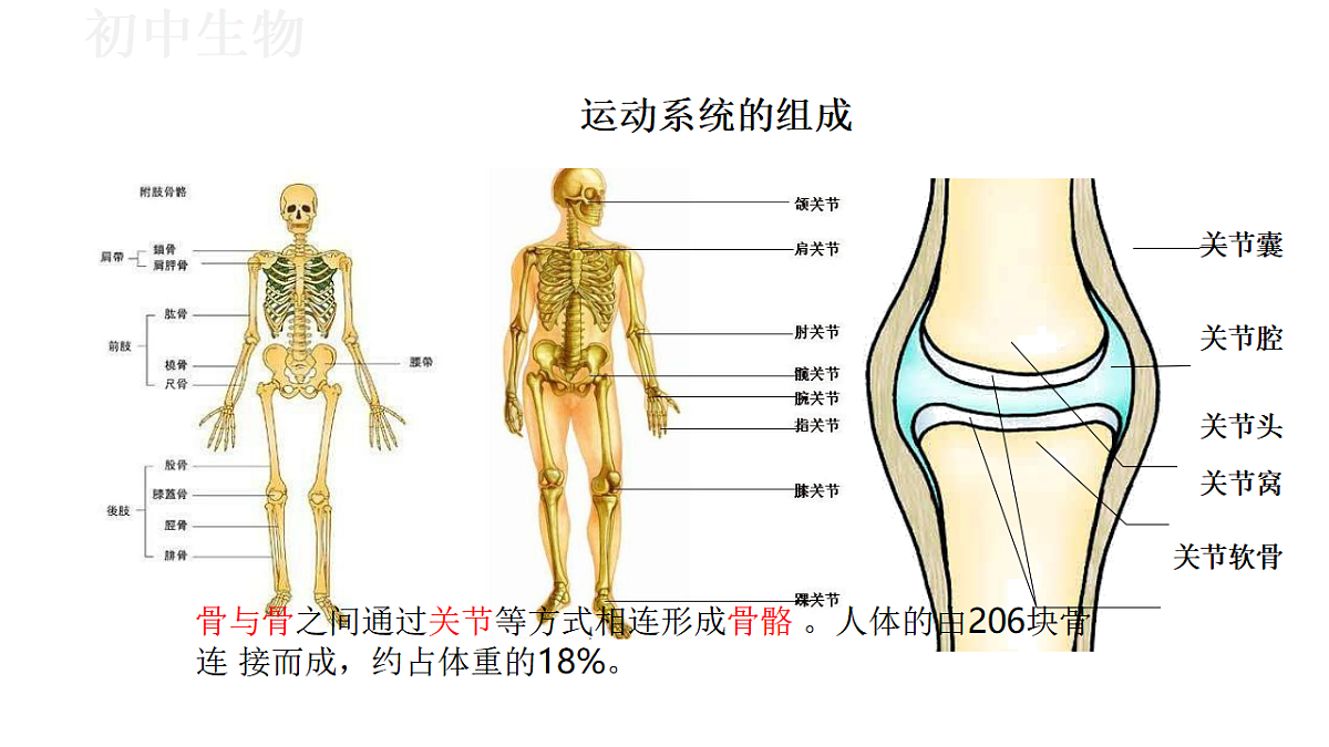 17571263第7页