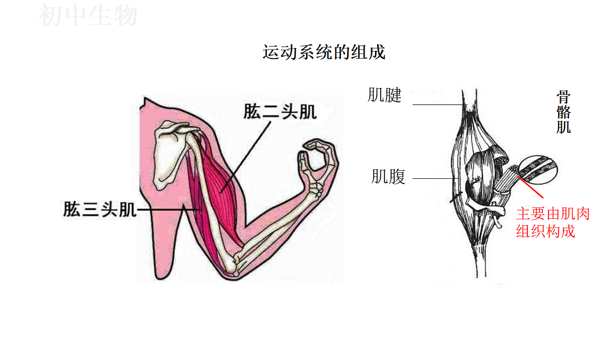 17571263第8页