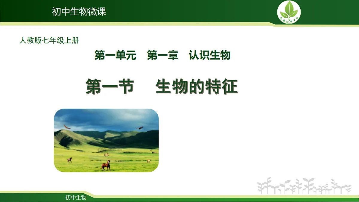 17571274第1页