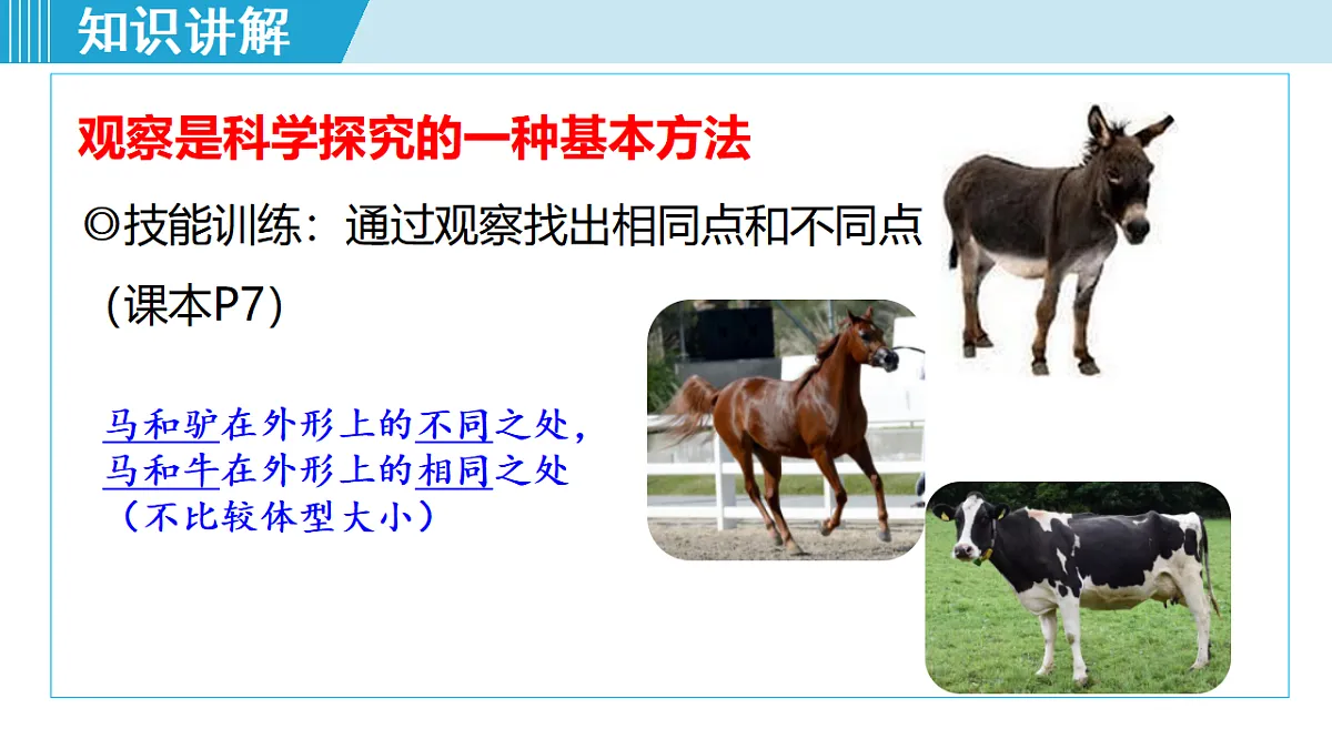 17571274第3页