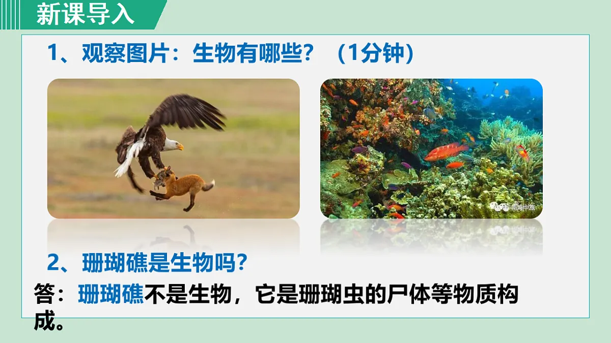 17571274第4页