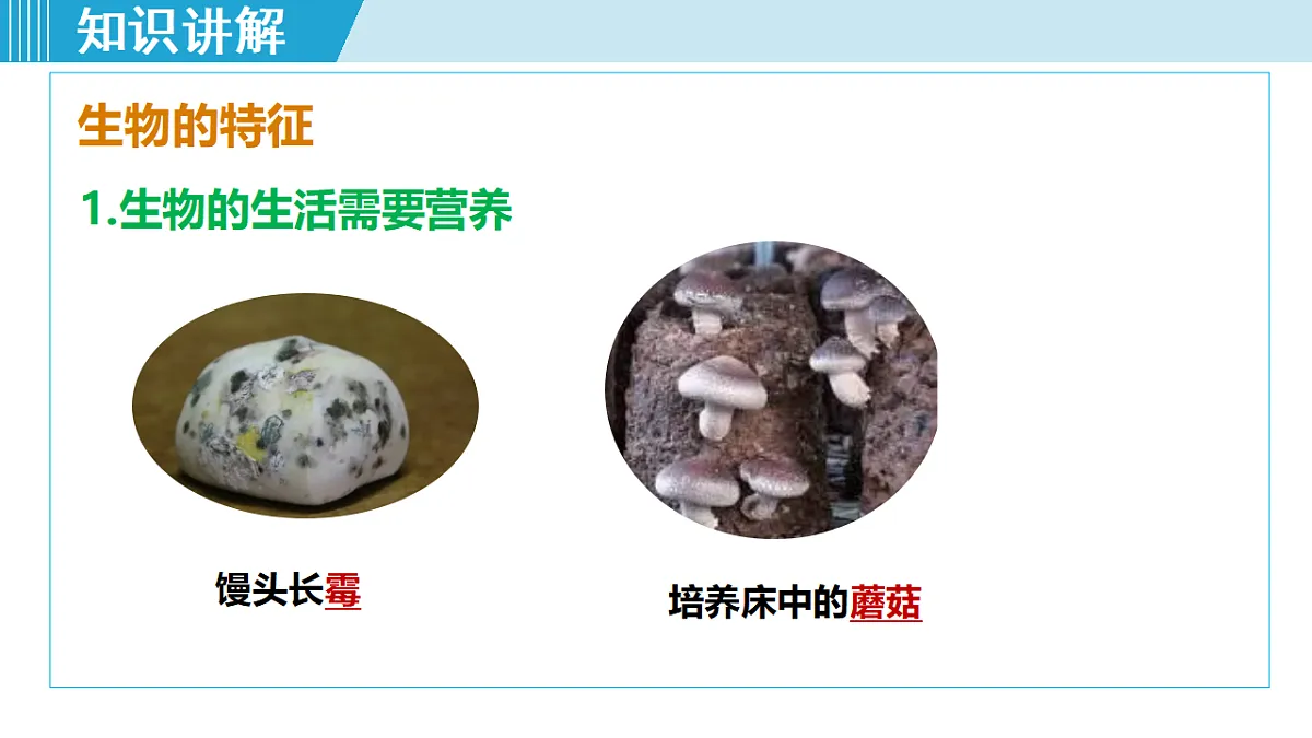 17571274第8页
