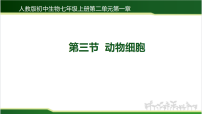 人教版（2024）七年级上册（2024）动物细胞教课课件ppt