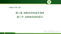 初中生物人教版（2024）七年级上册（2024）动物体的结构层次教学演示课件ppt
