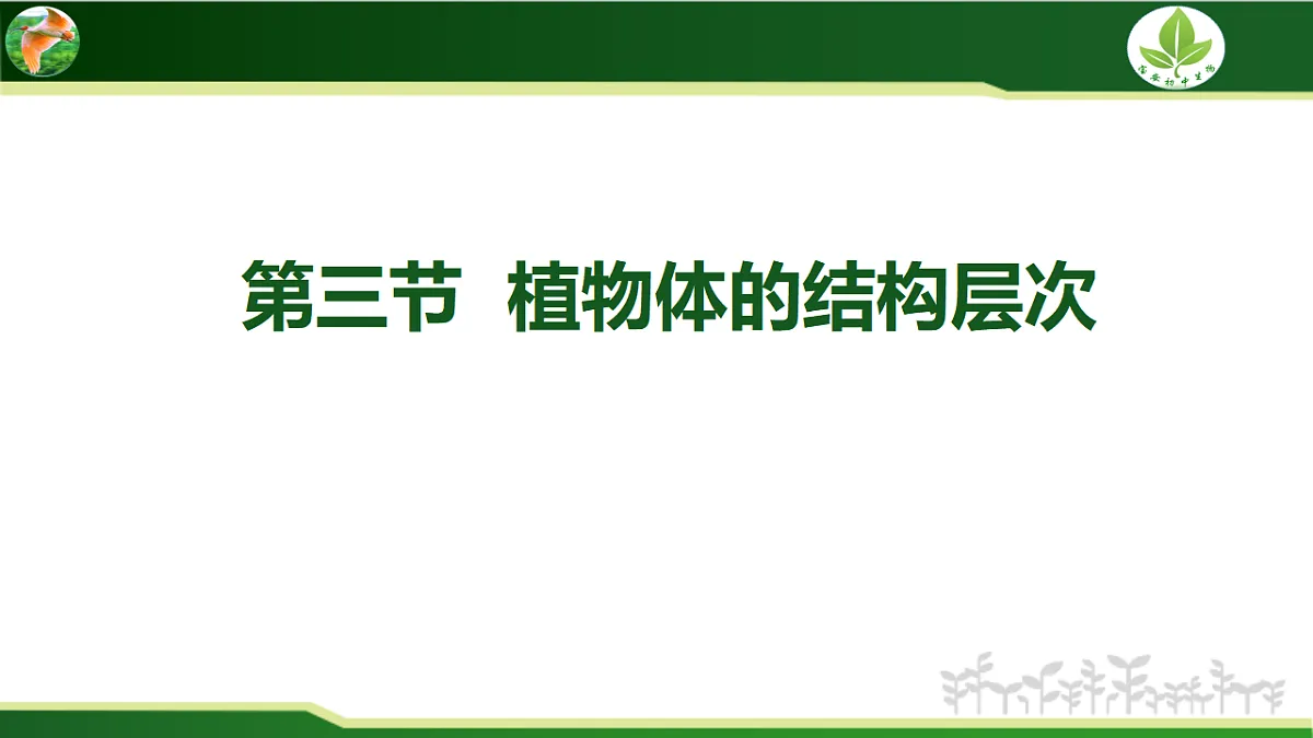 17571282第1页