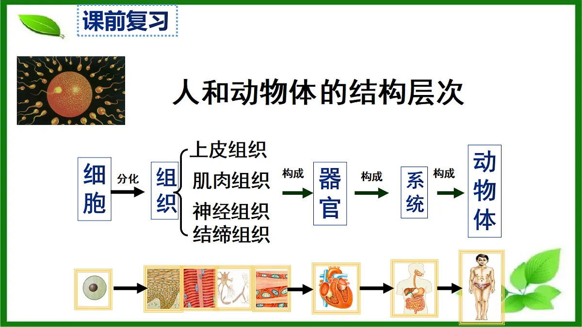 17571282第4页