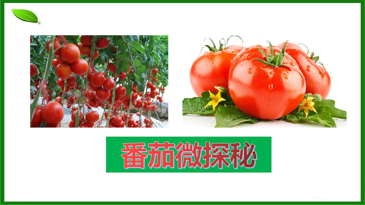 17571282第5页