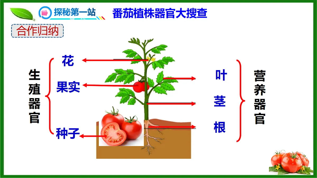 17571282第7页
