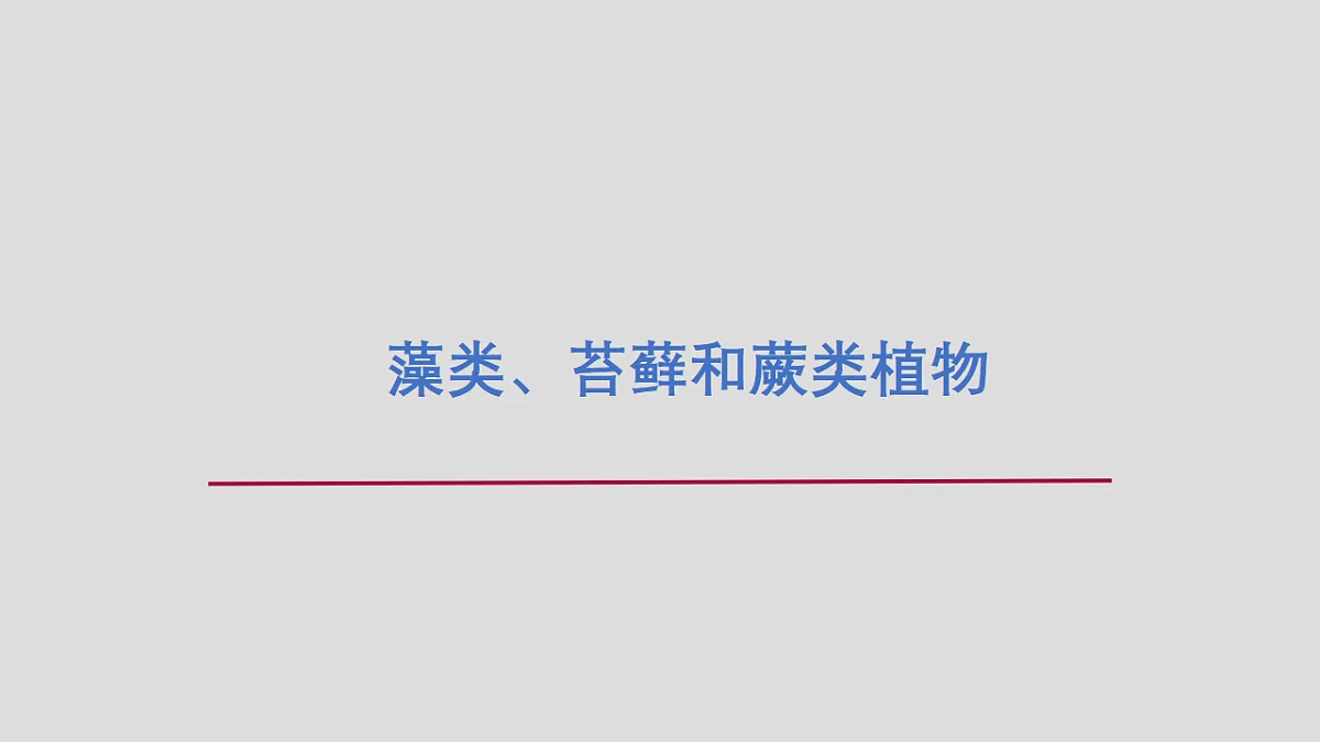 17571287第1页