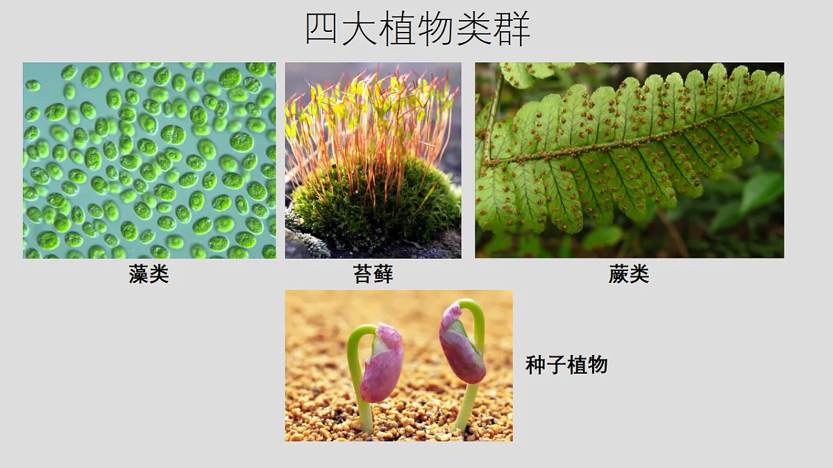 17571287第4页