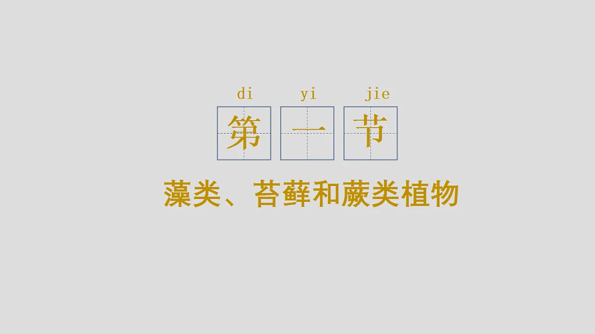 17571287第5页