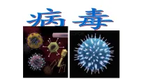 初中生物人教版（2024）七年级上册（2024）病毒教案配套课件ppt