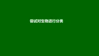 初中生物人教版（2024）七年级上册（2024）尝试对生物进行分类集体备课ppt课件