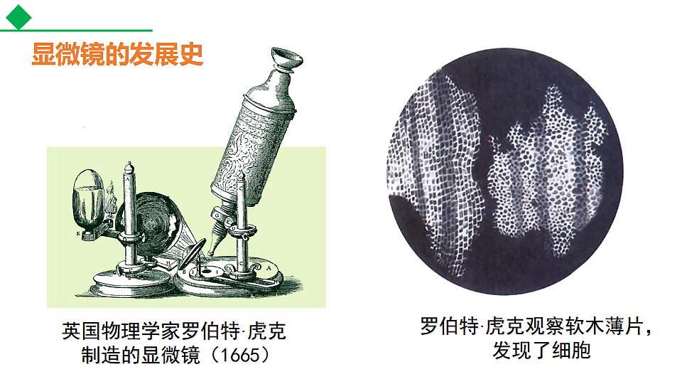 17571330第3页