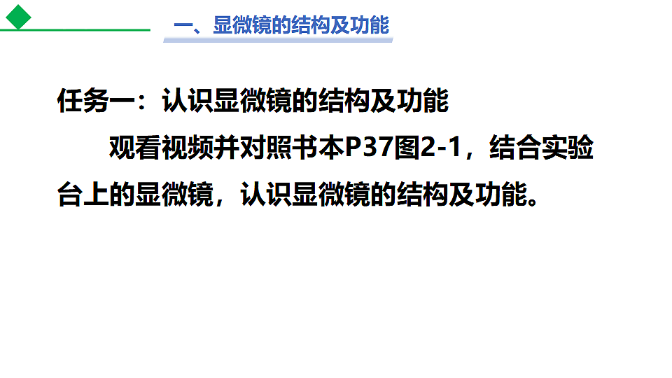 17571330第5页