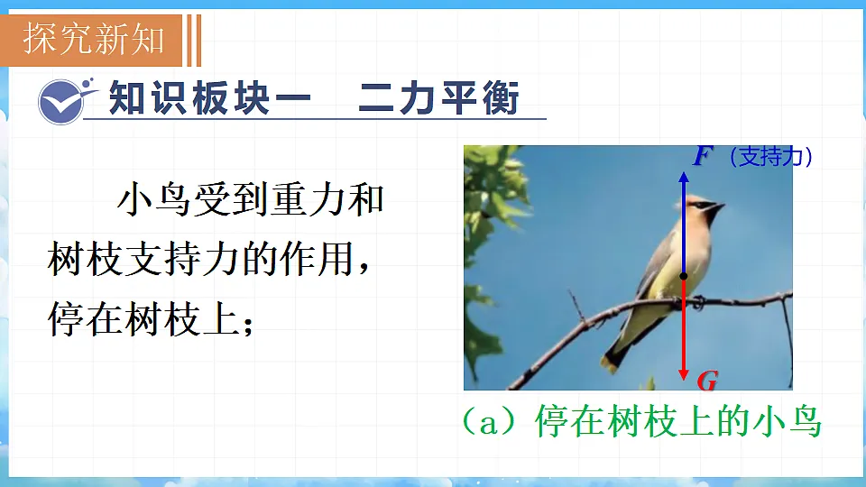 7.5 运动和力第3页