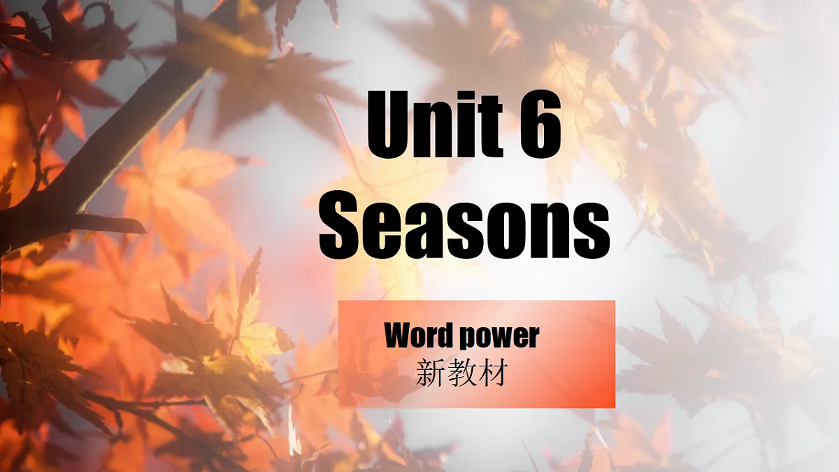 17574595第1页
