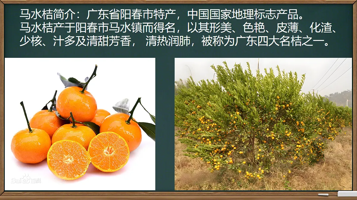 17574615第3页