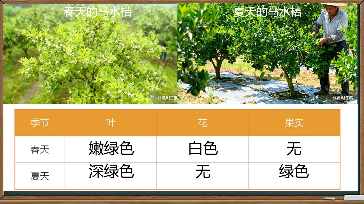 17574615第7页