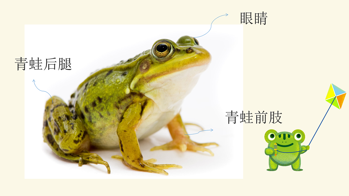 17574974第7页
