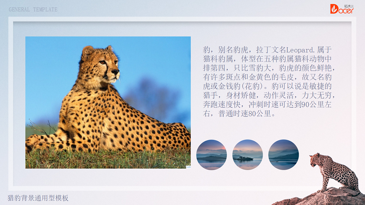 17574990第3页