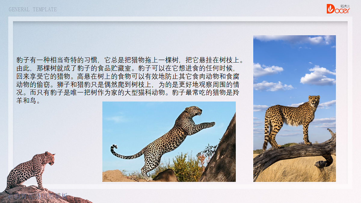 17574990第5页