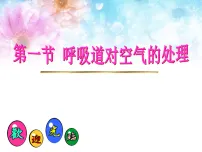 初中生物人教版（2024）七年级下册（2024）呼吸道对空气的处理教学演示ppt课件
