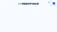 初中生物人教版（2024）七年级下册（2024）呼吸道对空气的处理集体备课ppt课件