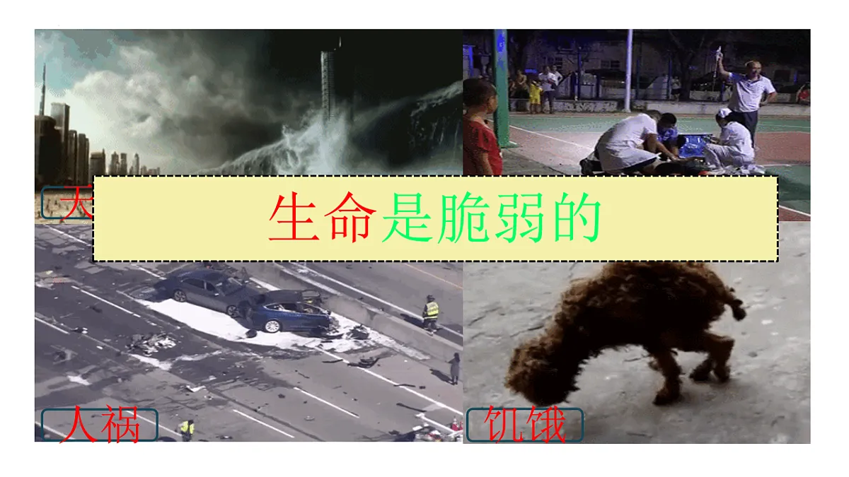 17575968第6页