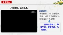 初中人教版(2024)敬畏生命授课ppt课件