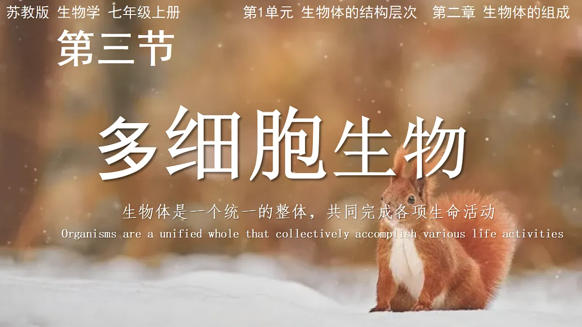 17579494第1页