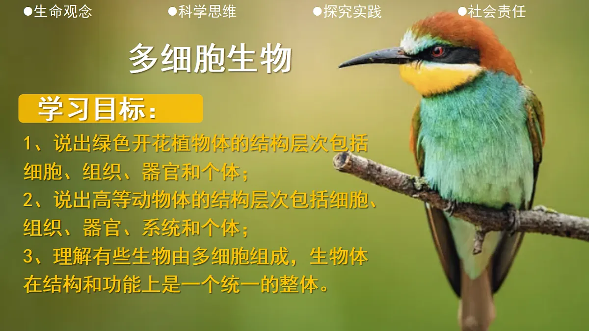 17579494第2页