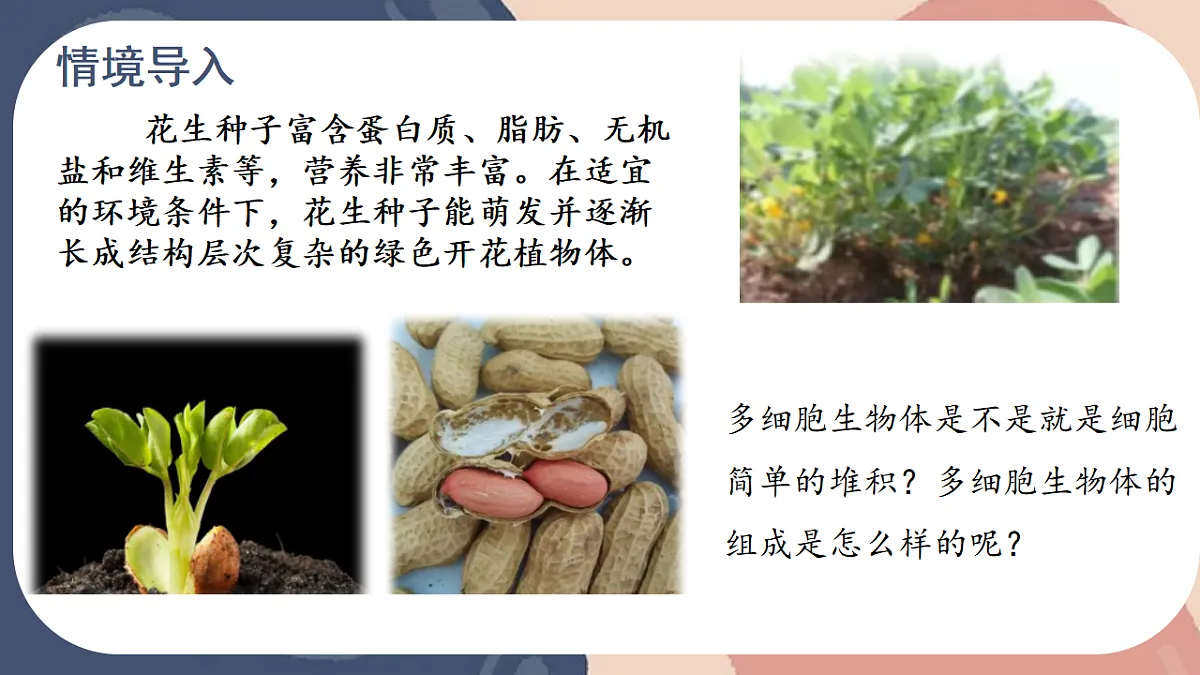 17579494第3页