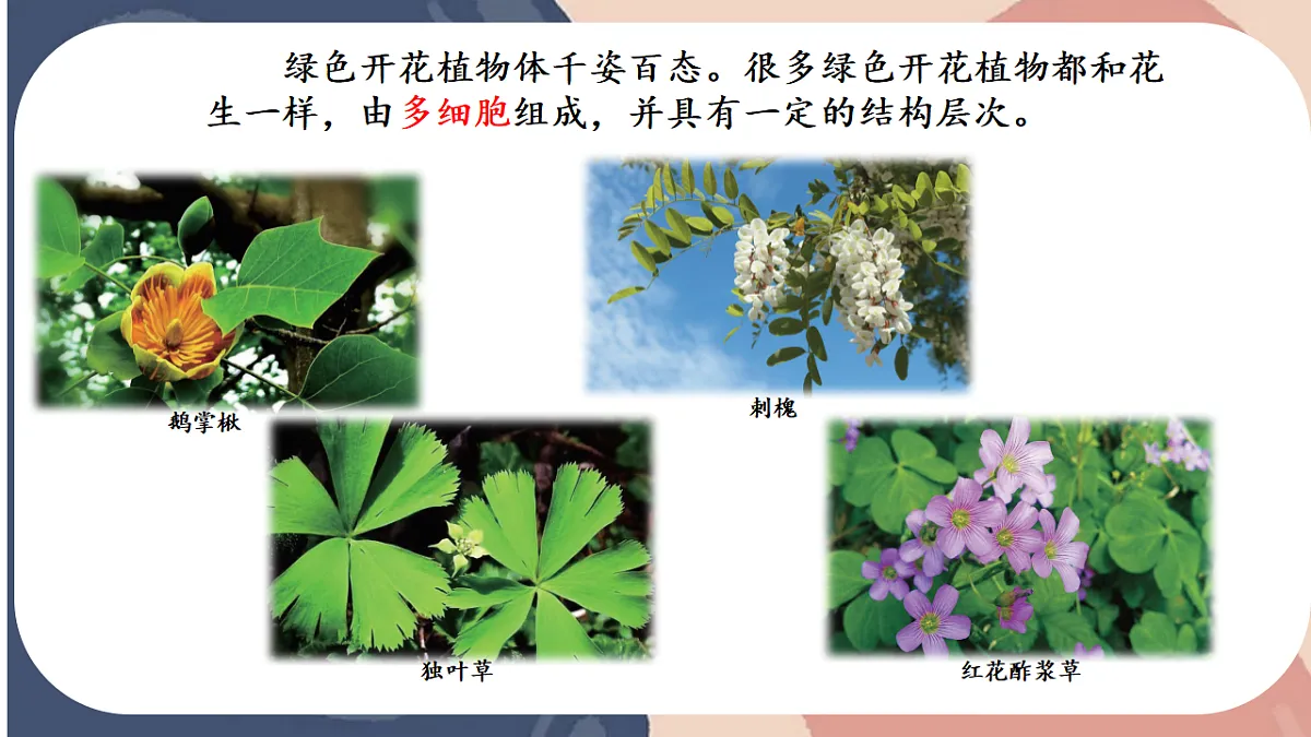 17579494第4页