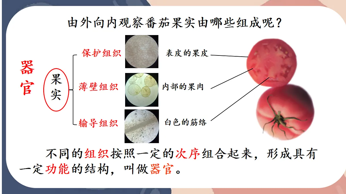 17579494第5页
