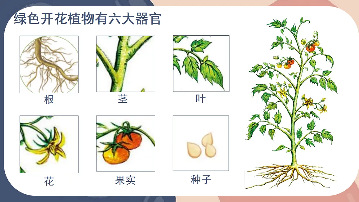 17579494第6页