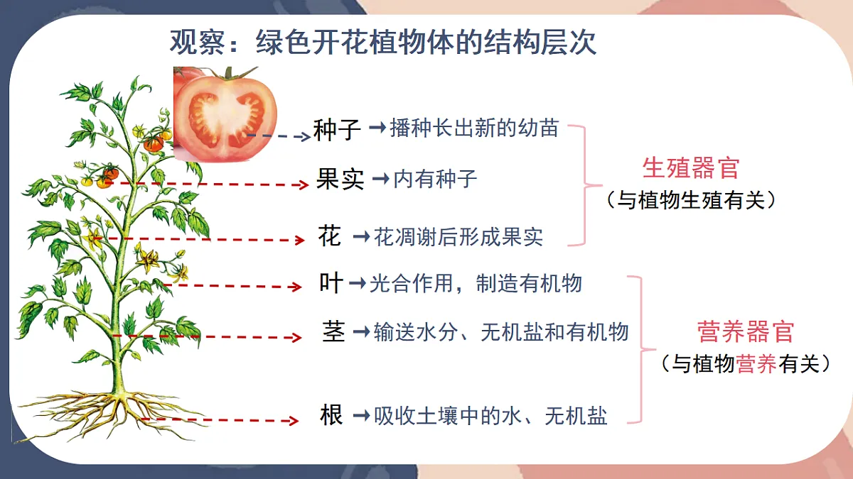 17579494第8页