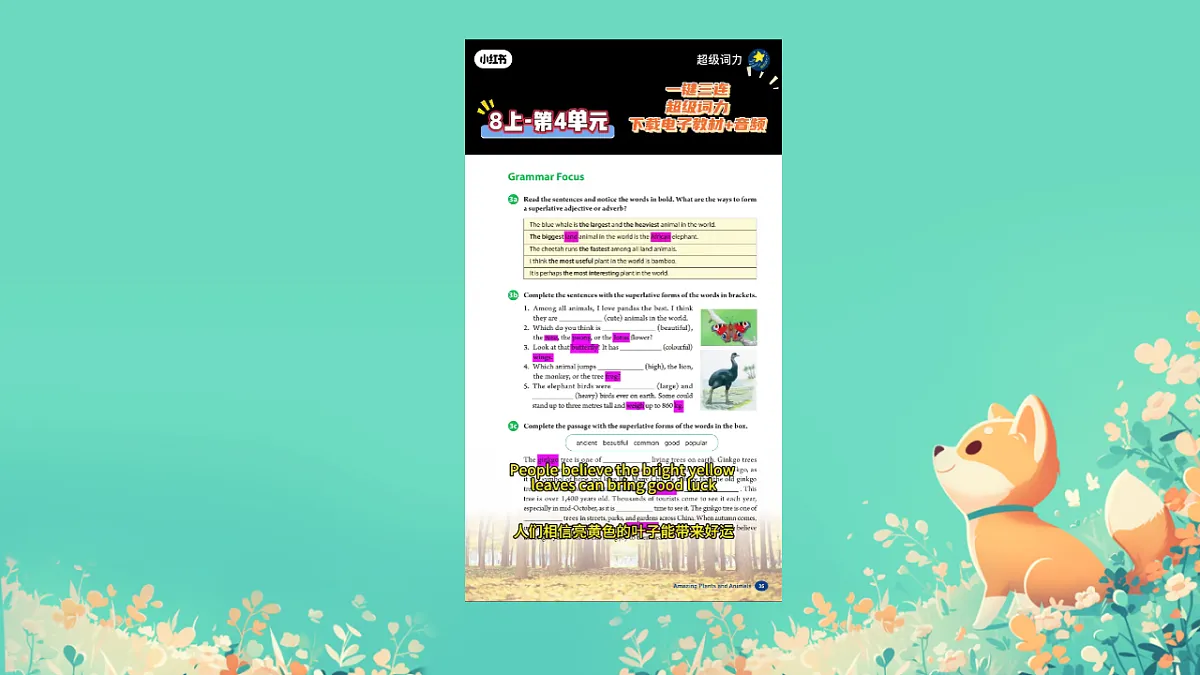 17579643第1页