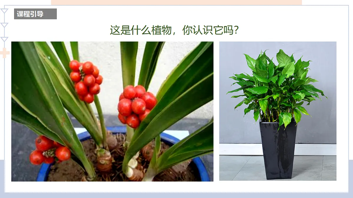 17579841第8页