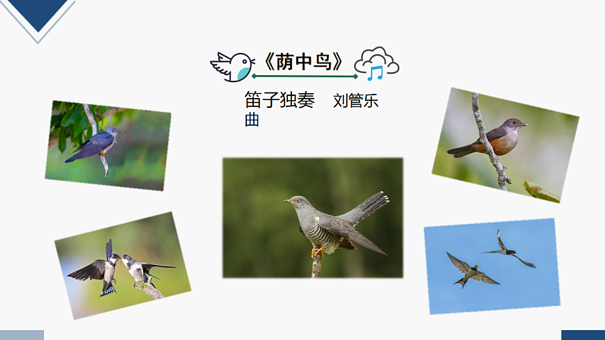 17580624第3页