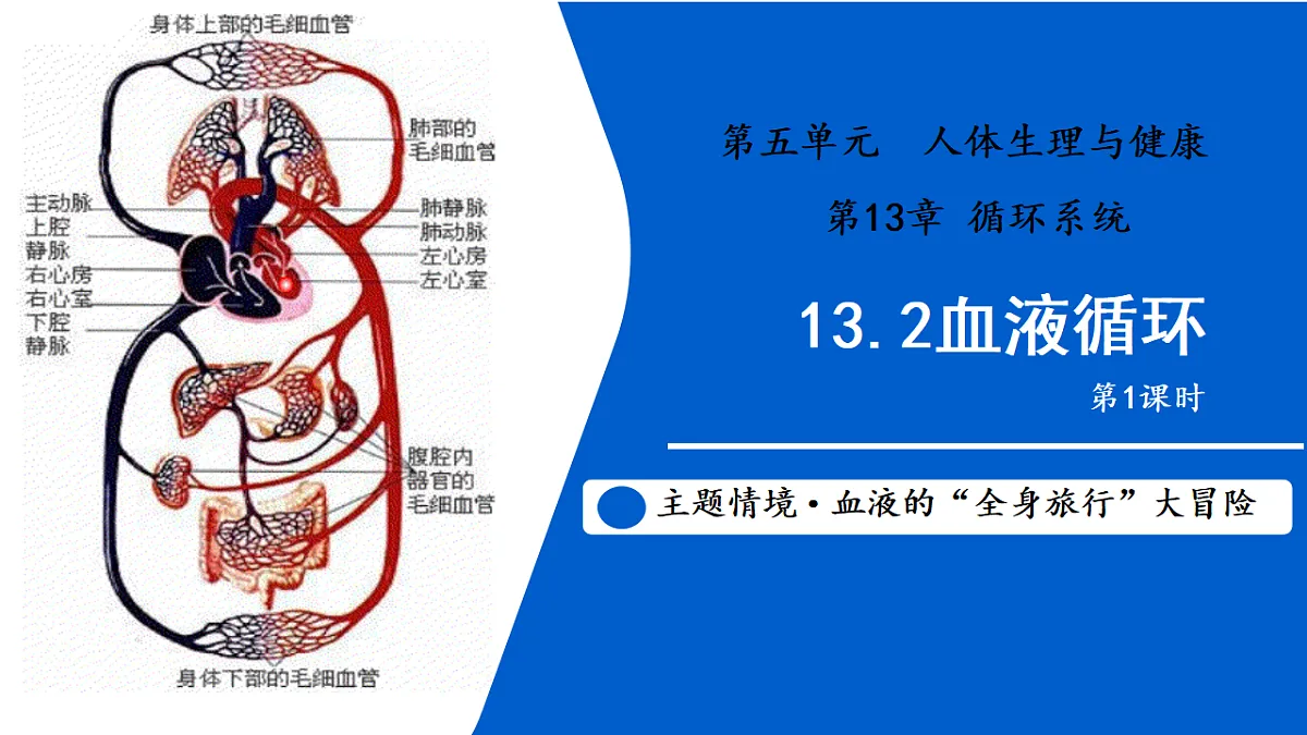 17580841第1页