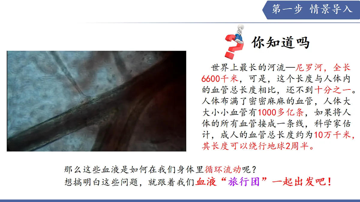 17580841第2页