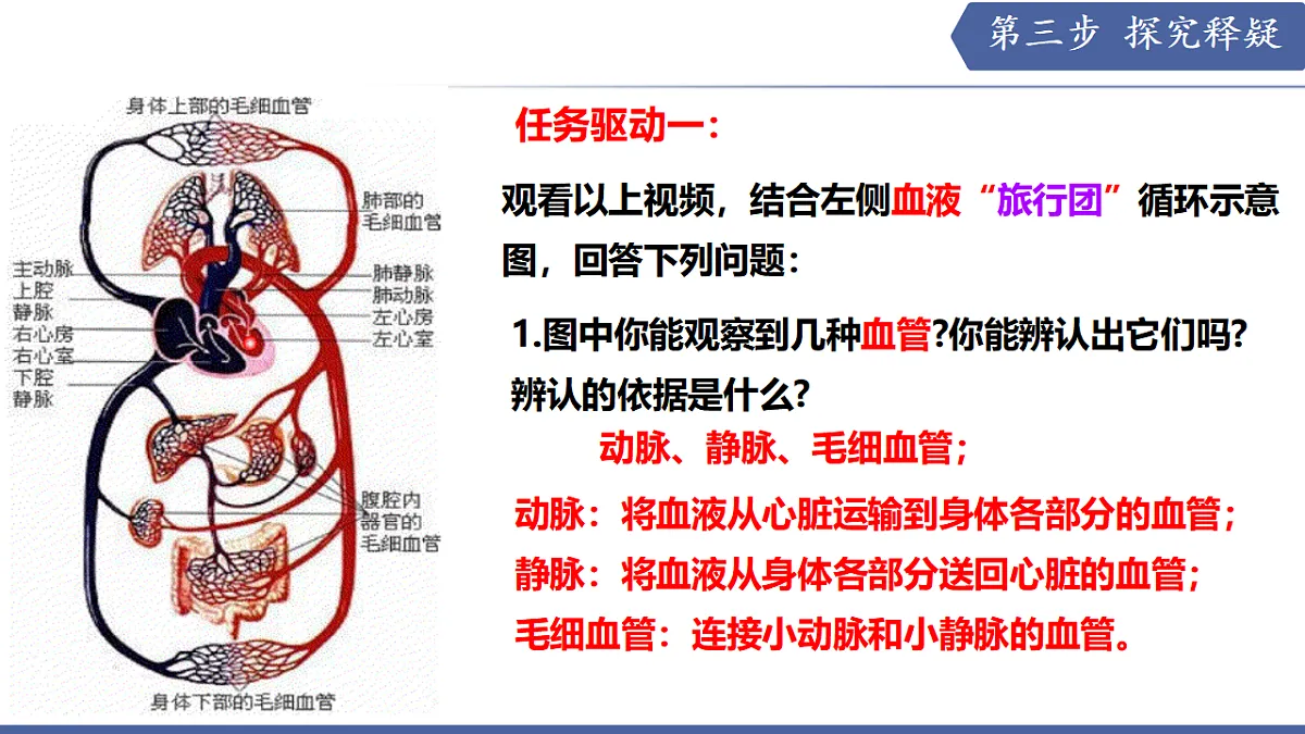 17580841第7页